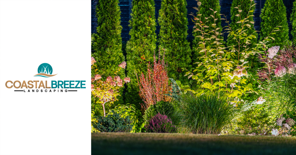 Coastal Breeze Landscaping logo with illuminated garden featuring diverse plants, shrubs, and trees, emphasizing professional landscaping services in Conway, SC.