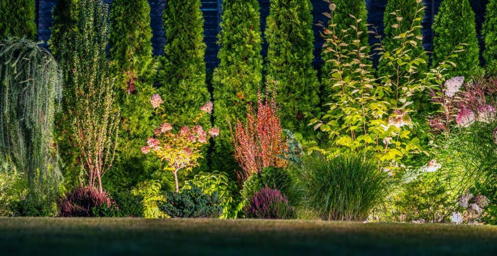 Lush landscape design featuring diverse plants, illuminated by soft lighting, showcasing vibrant colors and textures, enhancing outdoor aesthetics in Forest Brook, SC.