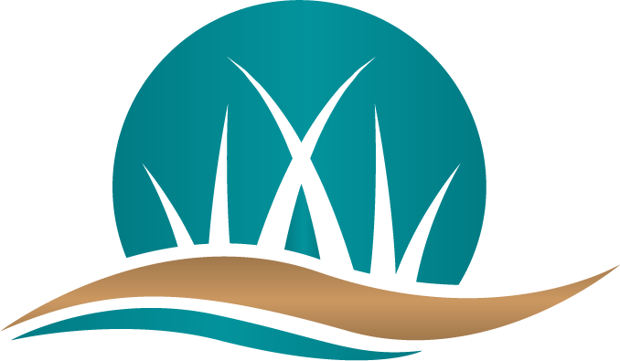 Coastal Breeze Landscaping logo featuring a stylized wave and tree, representing premium landscaping services in Market Common, SC.