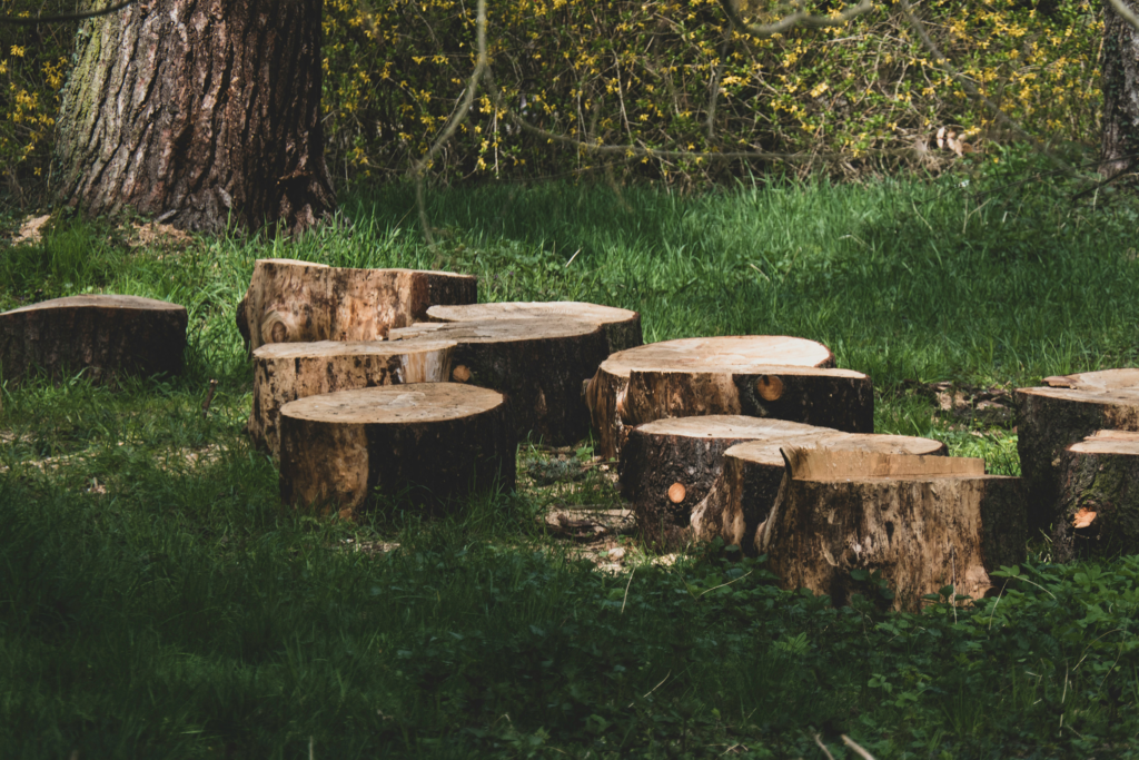 Tree stumps arranged in a natural setting with green grass and background foliage, representing tree care and maintenance services in Little River, SC.